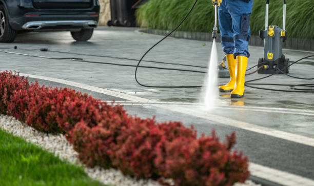 Reliable Poplar Grove, IL Pressure washing Solutions